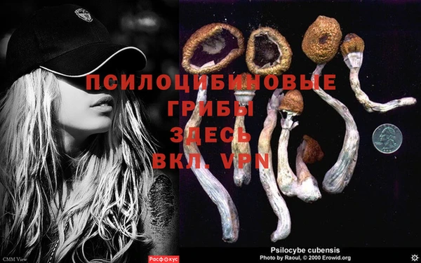 тгк Снежинск