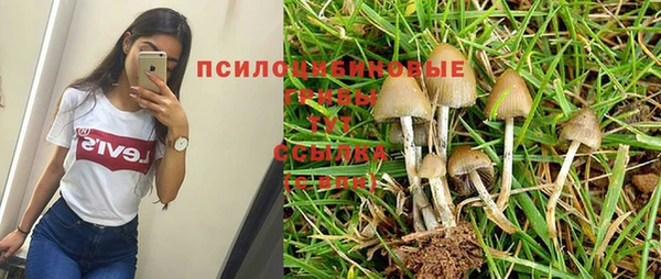 СК Нягань