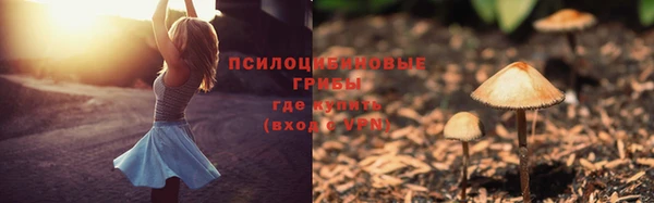 СК Нягань