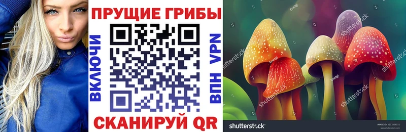 Псилоцибиновые грибы прущие грибы  Трубчевск 